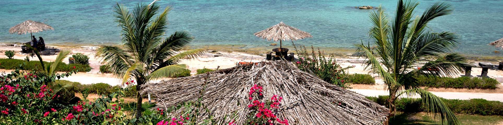 5 پارک معروف کیش که حتما باید ببینید